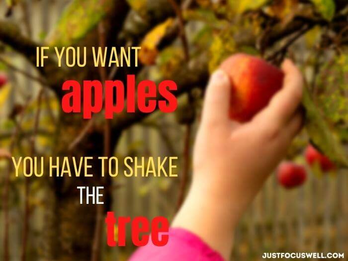 If you want apples, you have to shake the tree