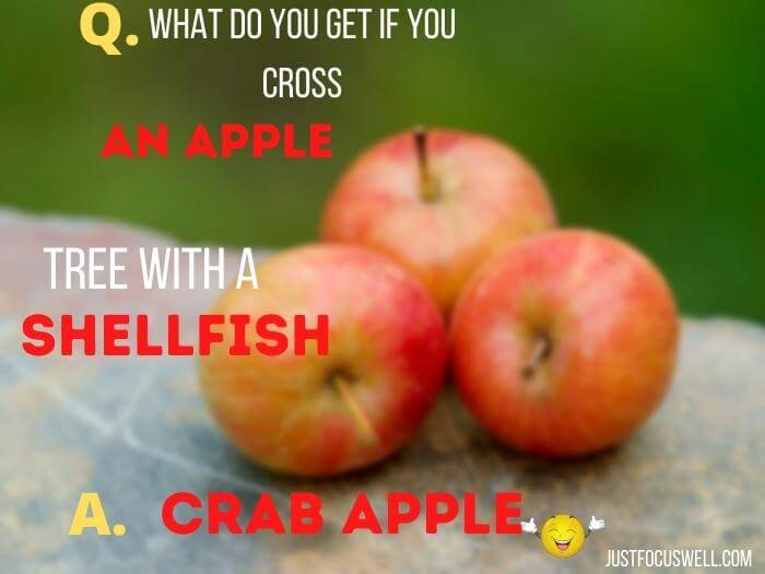 what do you get if you cross an apple tree with a shellfish

crab apple