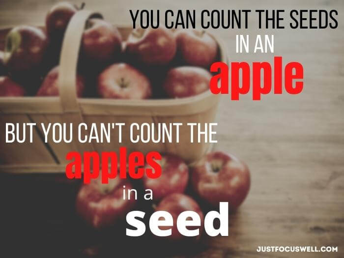 You can count the seeds an apple, but you can't count the apples in a seed