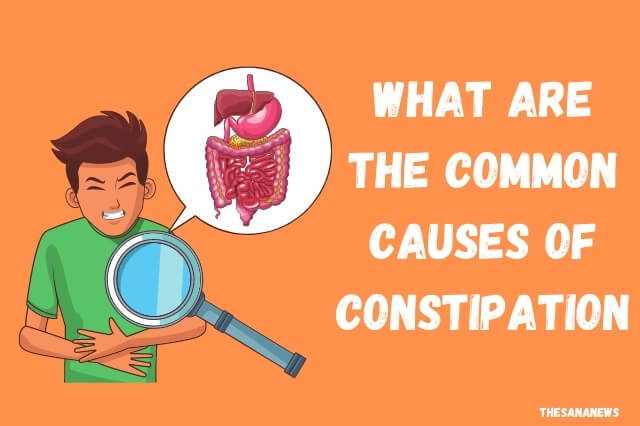 What Are The Common Causes Of Constipation, Weight Gain, And Bloating?