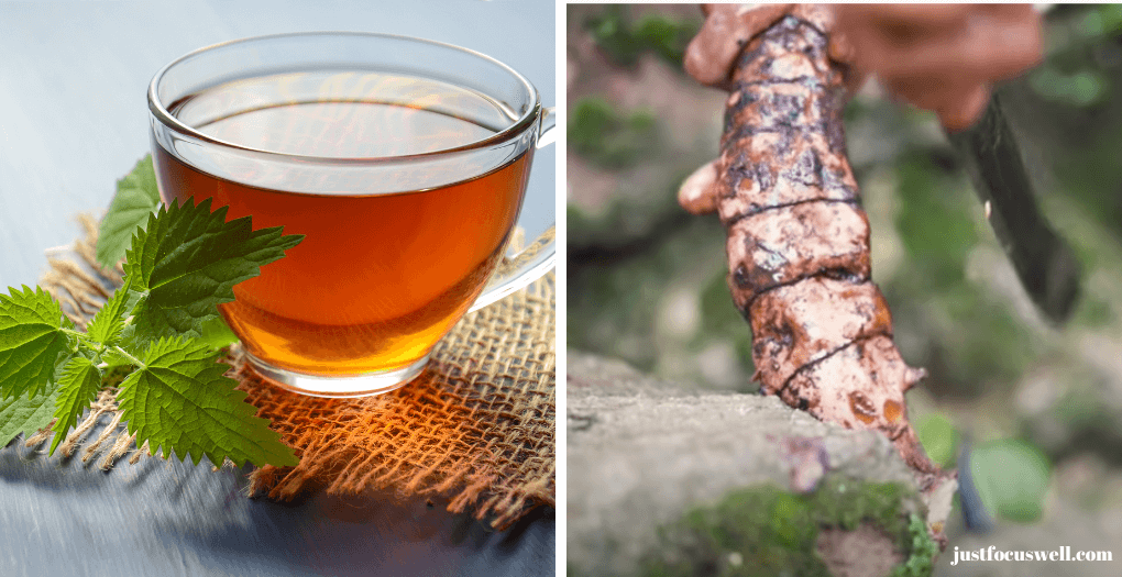 What Are The Health Benefits of Chaney Root Tea?