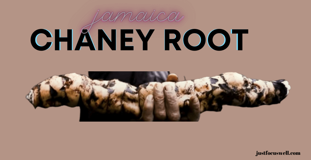 What Is Chaney Root?