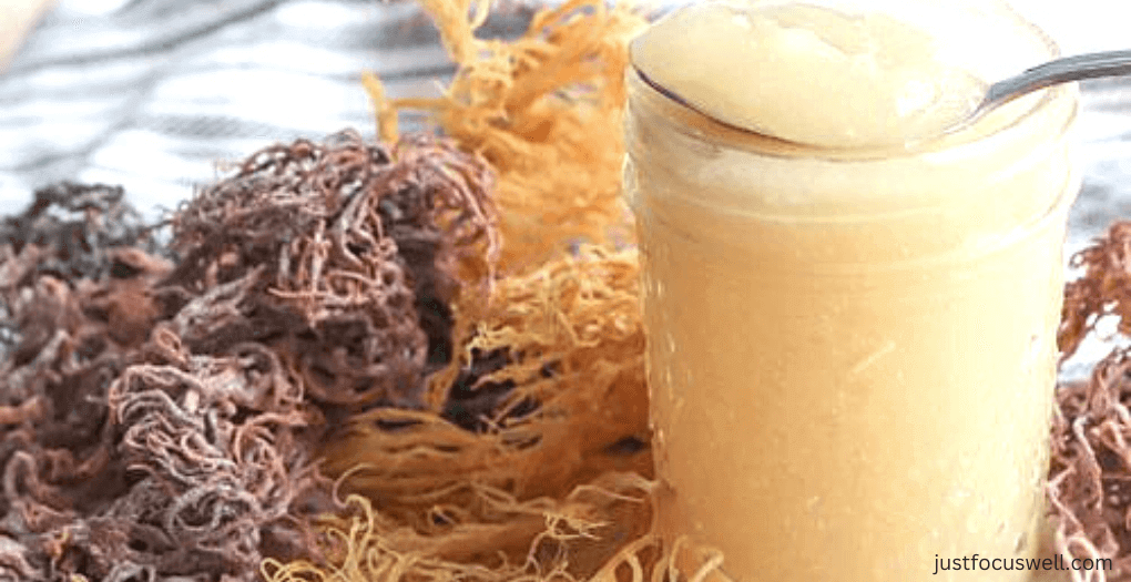 What Exactly Is Sea Moss?
