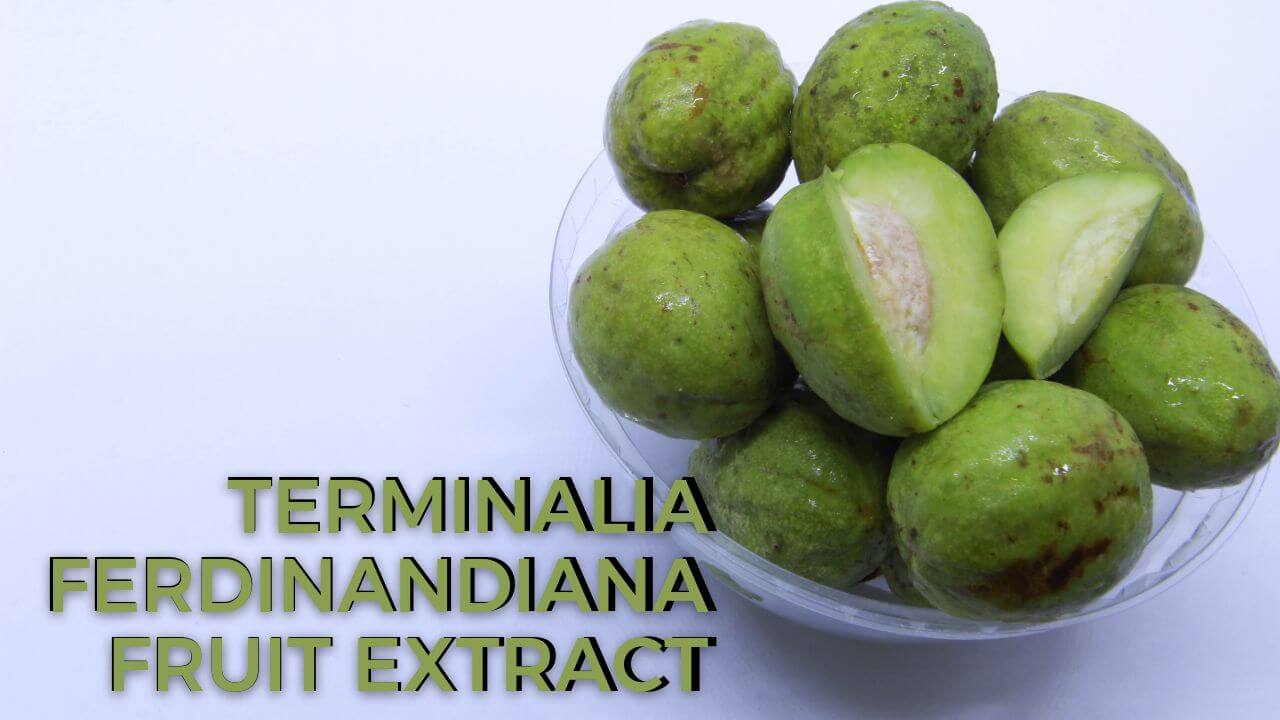 Terminalia Ferdinandiana Fruit Extract