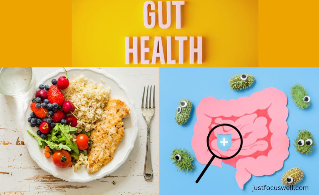 The Connection Between Gut Health And Appetite Control