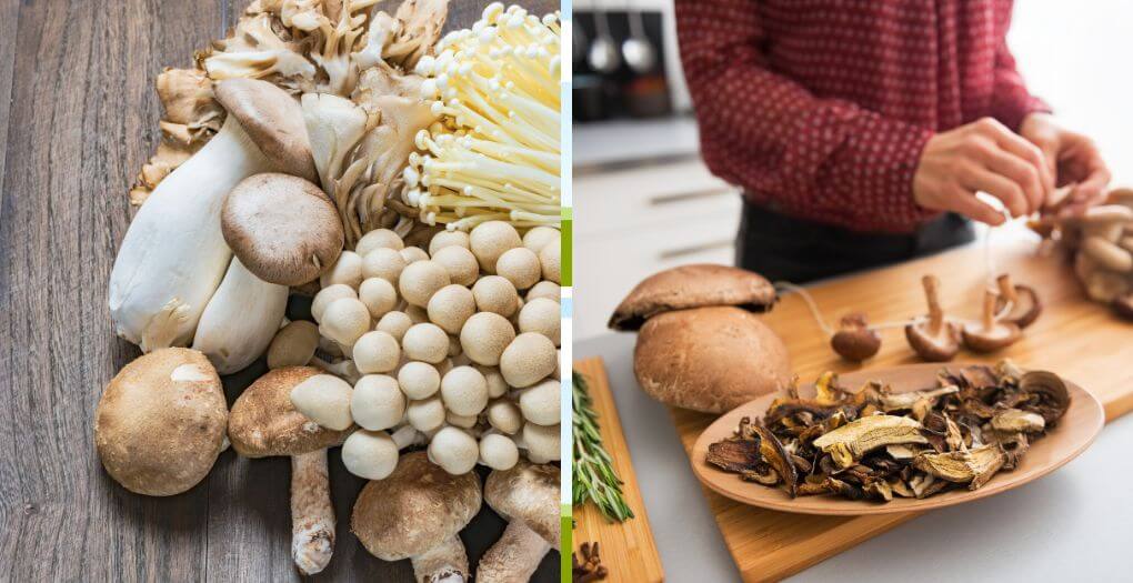 Prepare And Consume Medical Mushrooms 