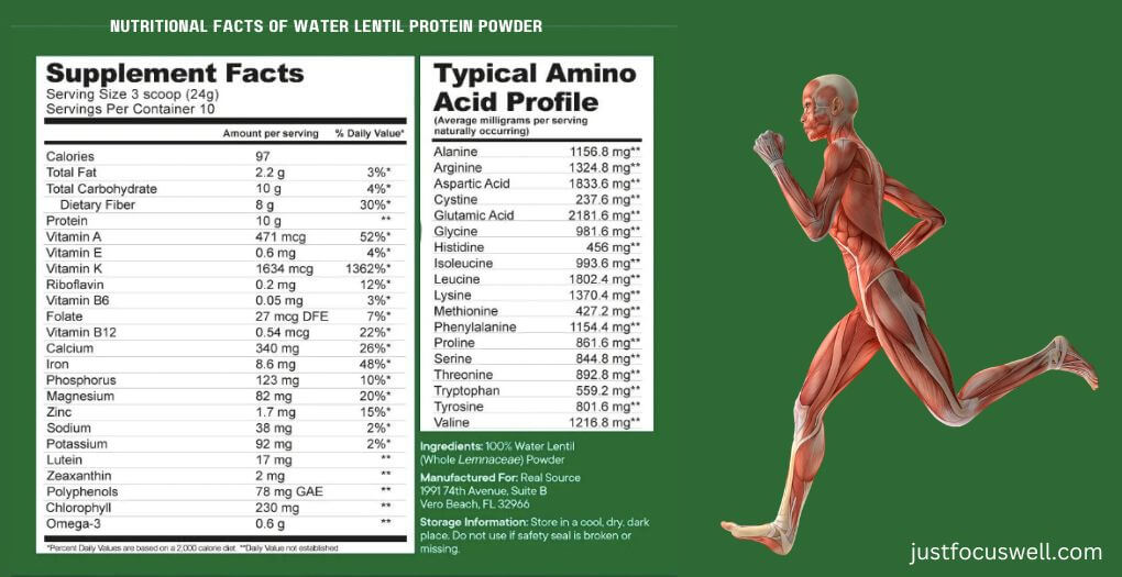 Water Lentil Protein Called A Powerhouse Of Protein?