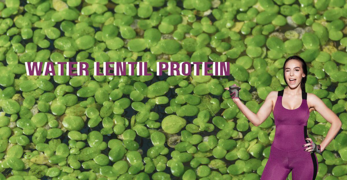 Water Lentil Protein Powder: Benefits, Dosage, And Side Effects