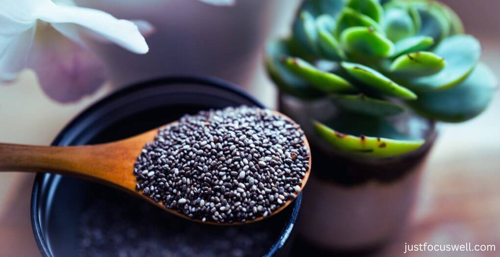 What Is Black Chia Seeds