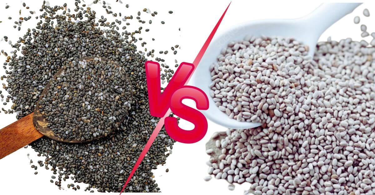 Black vs White Chia Seeds